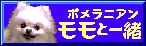 �s�n�o�֖߂�܁`���I