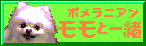 �s�n�o�֖߂�܁`���I