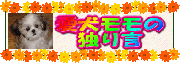 ���������̓Ƃ茾