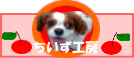 �������H�[