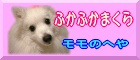 �ӂ��ӂ��܂���