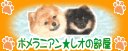 ����Ʊ݁�ڵ�̕����@