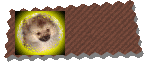 �ۂ���