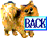 �߂�܁`���I�I