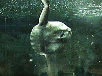 ����1998/2/22