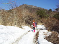 前方は鹿留山の一角（林道にて）