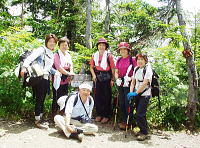 樹林に囲まれた山頂でした