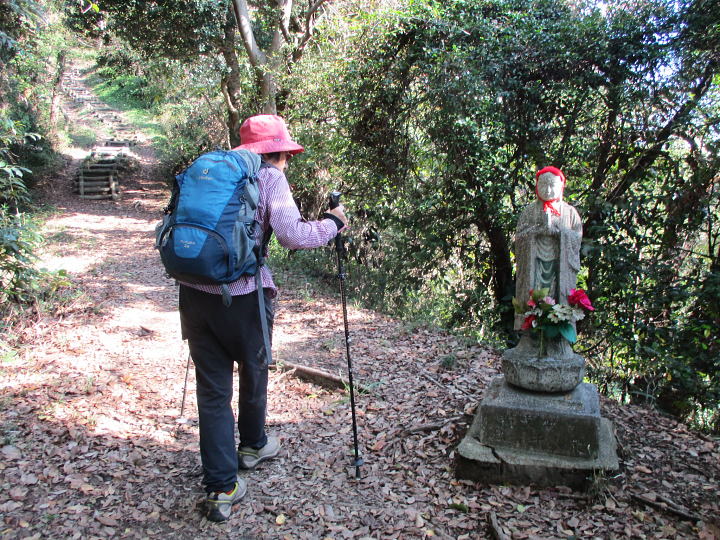 �v�킸������킹�܂���