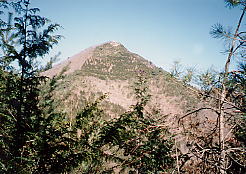 登路から顔を見せた笹子雁ヶ腹摺山 登路から顔を見せた笹子雁ヶ腹摺山