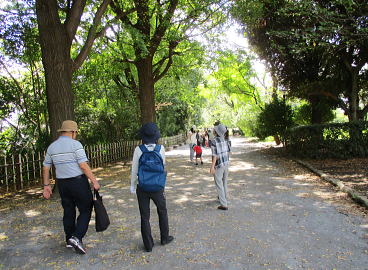 �򒹎R����������n�߂�