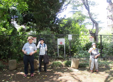 �쒹�̂��߂̃T���N�`���A���F����قǍL������܂���