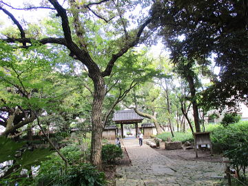 ���R�̕��i�������ꂽ��V���뉀