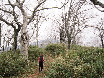 前方に日留賀岳の一角が見えています