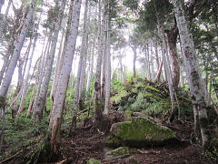 �X�ь��E�͋߂��I