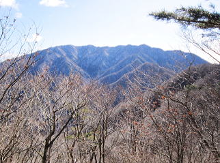 （近いので）大きくて立派な山容です