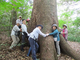 ����7�l�ť��