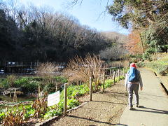 水を生かした自然公園