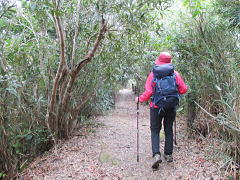 この辺りが熱田岳山頂かも