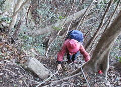 青螺山の山頂は近い！