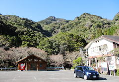 中央奥が青牧山