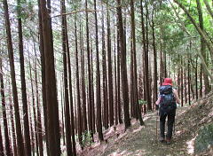 岩涌山から滝畑へ向かう