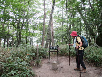 日向山の山頂