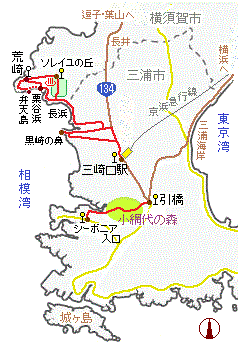 三浦半島南部の略図