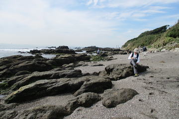 夏は海水浴場