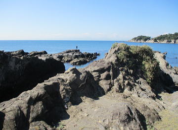 この日の相模湾は波静か