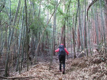 道型はしっかりしています