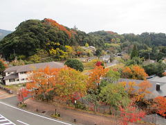 宿の窓から撮影