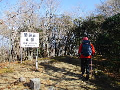 樹林に囲まれている