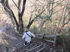 急な丸太階段