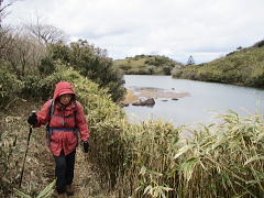 晴れていればこの奥に富士山が･･･