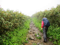 まだ山頂は遠い