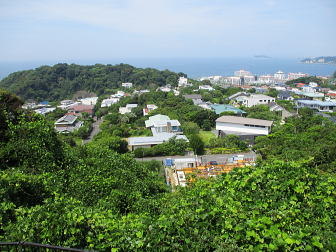 右奥に江の島が浮かんでいますが･･･