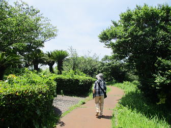 情緒のある遊歩道