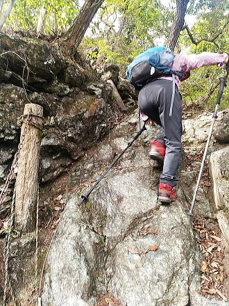 蛇紋岩だそうです