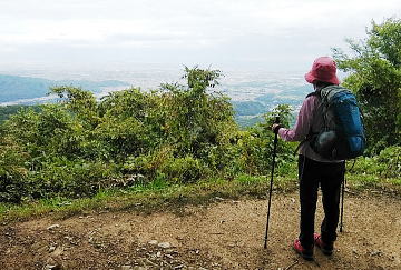 曇ってきました