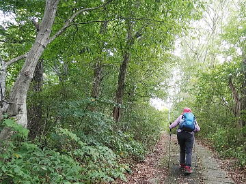 舗装されています