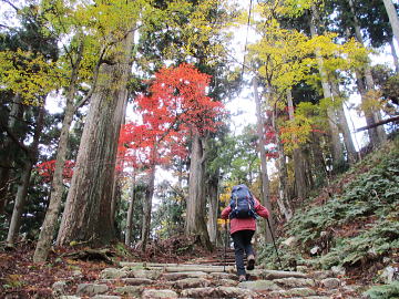 �g�t�����ꂢ�I