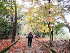 広くて歩きやすい
