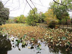 この手前が小倉山の登山口
