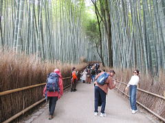 外人さんがいっぱい