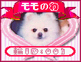 「モモの輪」モモちゃん募集中!