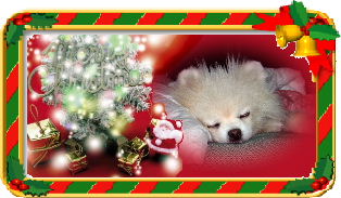 モモ特製クリスマスだよん♪