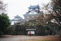越前大野城(亀山城) 越前大野城(亀山城)