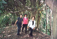 No.120�u�O�Y�A���v�X�v��