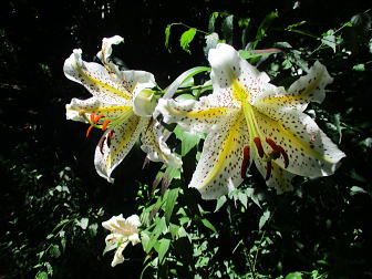���A���J�I