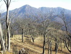 左のピークが蛭ヶ岳、右方は丹沢山 左のピークが蛭ヶ岳、右方は丹沢山